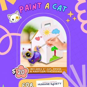 Paint A Cat