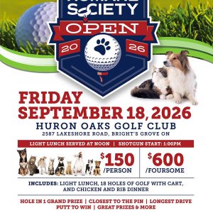 2026 Golf Tournament Individual