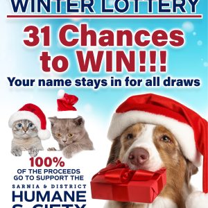 2027 People Pet Winter Lottery